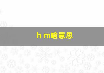 h m啥意思